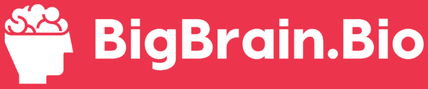 BigBrain.Bio